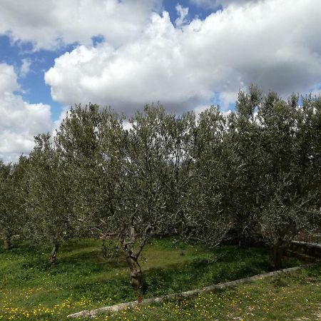 Kuca Za Odmor Mile Villa Drnis Exterior photo